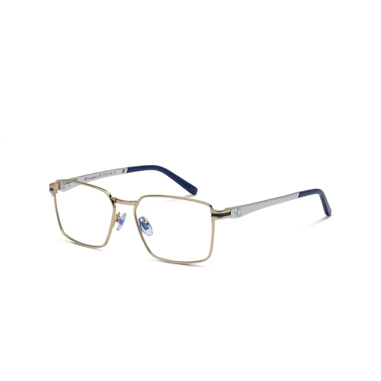 CH-03 C2 Champion, Plateado y azul